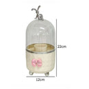 Makeup Brush Organizer with 360° Rotation and Dust Cover by Axyaa