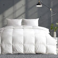 Axyaa Full/Queen Lightweight Down Comforter - Ultra Soft Fluffy Duvet Insert
