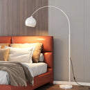 Axyaa Light Luxury Minimalist Fishing Terrace Floor Lamp