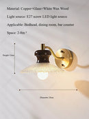 Axyaa Retro Glass LED Wall Lamp for Home Decor