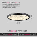 Axyaa Full Spectrum LED Ceiling Lamp for Living Room Bedroom, Nordic Modern Design