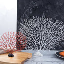 Axya Hotel Restaurant Salmon Sashimi Sushi Seafood Tray with Coral Tree Flower Decor