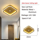 Axyaa LED Ceiling Lamps: Motion Sensor, Black, Indoor, Bedroom, Corridor Balcony Lighting