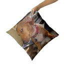 Axyaa Dachshund Dog Square Throw Pillow Cover 45cm x 45cm