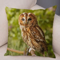 Axyaa Wild Owl Cushion Cover: Decorative Sofa Pillowcase for Home and Children's Room