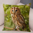 Axyaa Wild Owl Cushion Cover: Decorative Sofa Pillowcase for Home and Children's Room