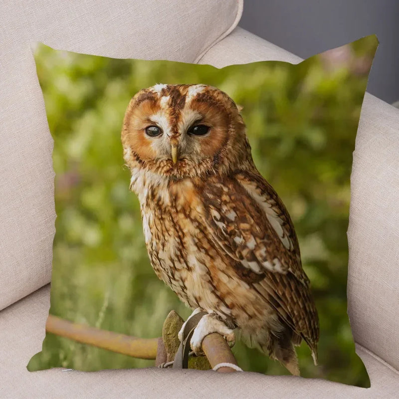 Axyaa Wild Owl Cushion Cover: Decorative Sofa Pillowcase for Home and Children's Room