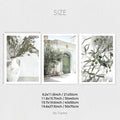 3-Piece Axyaa City Art Olive Tree Wall Printing Set.