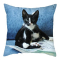 Axyaa Cat Dog Pet Polyester Pillow Cover Cushion Cover Home Sofa Decor 45x45cm