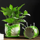 Axyaa Cabbage Flowerpot: Creative Cartoon Vegetable Basin with Tray - Garden Vase