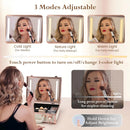 Axyaa LED Mirror Makeup Train Case with Dividers and Brush Holder