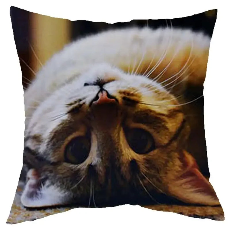 Axyaa Cat Design Sofa Cushion Cover 45x45cm