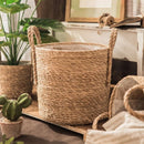 Axyaa Woven Straw Basket Set for Storage, Picnics, and Laundry