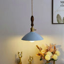 Axyaa Ceramic Wood Handle LED Pendant Light Fixture, Modern Style for Kitchen, Bedroom, Corridor