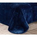 Axyaa 9 Lbs Korean Style Faux Mink Blanket, Silky Soft Plush Raschel Mink - 85 inches