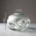 Axyaa Glass Vase Hydroponic Flower Pot Transparent Modern Decor