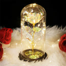 Axyaa Eternal Rose Night Light - LED Beauty and the Beast Magic Flower Lamp