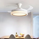 Axyaa 42/48inch LED Ceiling Fan with Light - Multiple Colors - Wholesale Price