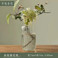 Axyaa Transparent Glass Zen Vase for Living Room Decor and Hydroponic Plants
