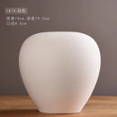Axyaa Modern Ceramic Vases for Creative Handicrafts and Living Room Decor