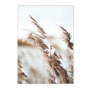 Axyaa Dandelion Reed Canvas Print Nordic Wall Art for Home Decor