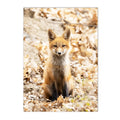 Nordic Forest Wildlife Wall Art Print by Axyaa