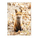 Nordic Forest Wildlife Wall Art Print by Axyaa