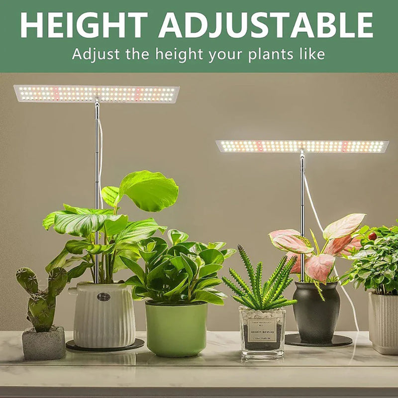 Axya LED Grow Light with 3 Timing Settings for Indoor Plant Growth