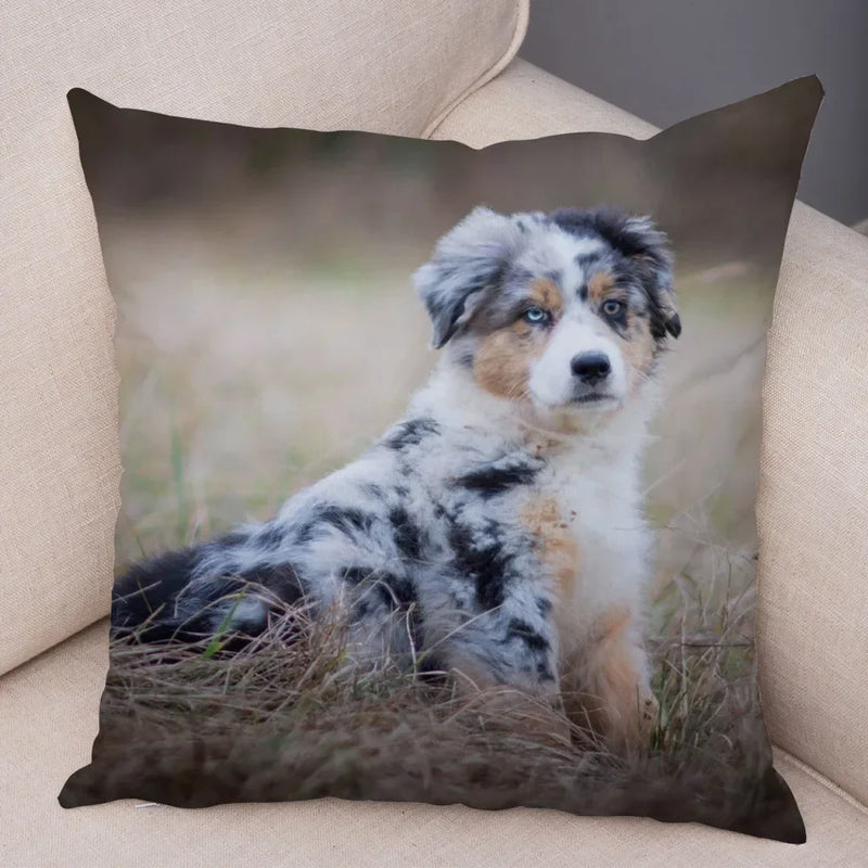 Axyaa Australian Shepherd Pillow Cover - Cute Dog Animal Cushion