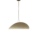 Axyaa Modern Art LED Pendant Light for Restaurant, Living Room, Bedroom, and Bar