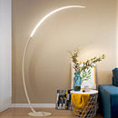Axyaa LED Floor Lamp Black White Modern Indoor Lighting Fixtures