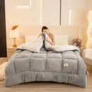 Axyaa Double-Sided Milk Wool Lamb Wool Warm Thick Winter Quilt Core