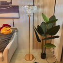 Axyaa Crystal LED Floor Lamp - Luxe Living Room Office Hotel Decor Standyalty Standby