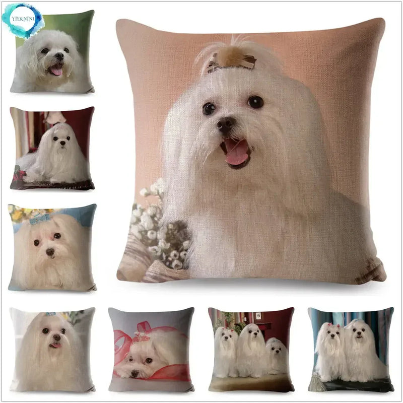 Maltese Dog Pillow Cover by Axyaa - Decorative Cushion Case for Home and Car