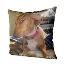 Axyaa Dachshund Dog Square Throw Pillow Cover 45cm x 45cm