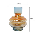 Axyaa Clear Glass Gradient Vase for Flowers & Hydroponics
