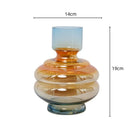 Axyaa Clear Glass Gradient Vase for Flowers & Hydroponics