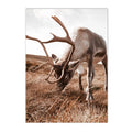 Nordic Deer Landscape Canvas Poster for Living Room Decor by Axyaa