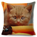 Axyaa British Shorthair Russian Blue Cat Cushion Cover - Cute Pet Animal Pillowcase