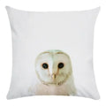 Axyaa Animal Print Cushion Cover Home Decor 45x45CM