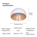 Axyaa Wood Grain Personality LED Ceiling Light for Bedroom, Living Room, Study