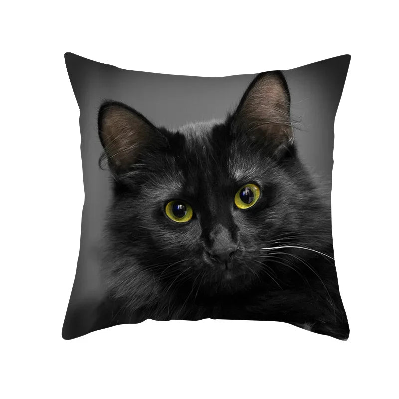 Axyaa Black Cat Pillowcases: Cute Kitty Lover Cushion Cover & Home Decor