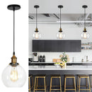 Axyaa Glass Pendant Light with Edison Bulb for Industrial Home Decor