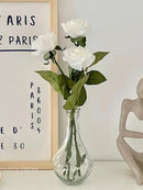Axyaa Glass Vase Ornaments for Living Room Decor & Office Gift