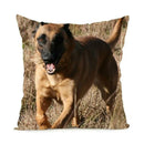 Axyaa German Shepherd Dog Polyester Pillowcase for Home & Office Decorateurs