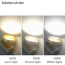 Axyaa LED Ceiling Light for Model Display Counters and Wine Cabinets
