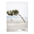 Axyaa Olive Tree Architecture Canvas Print Wall Art Posters for Living Room