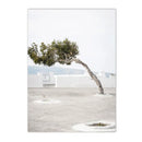 Axyaa Olive Tree Architecture Canvas Print Wall Art Posters for Living Room