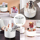 Axyaa Desktop Organizer & Pencil Case for Home, Bedroom, Office - Desk Stationery Holder