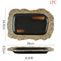 Axyaa Ceramic Sashimi Plates | Japanese Cuisine Sushi Tableware